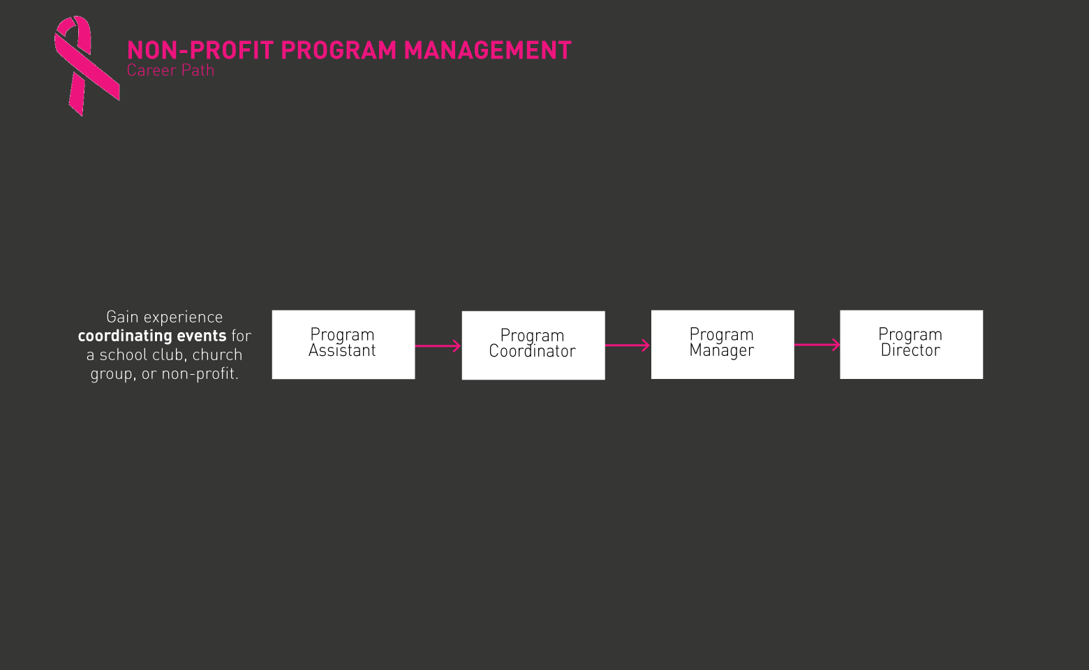 NonProfit Program Management roadmap gif