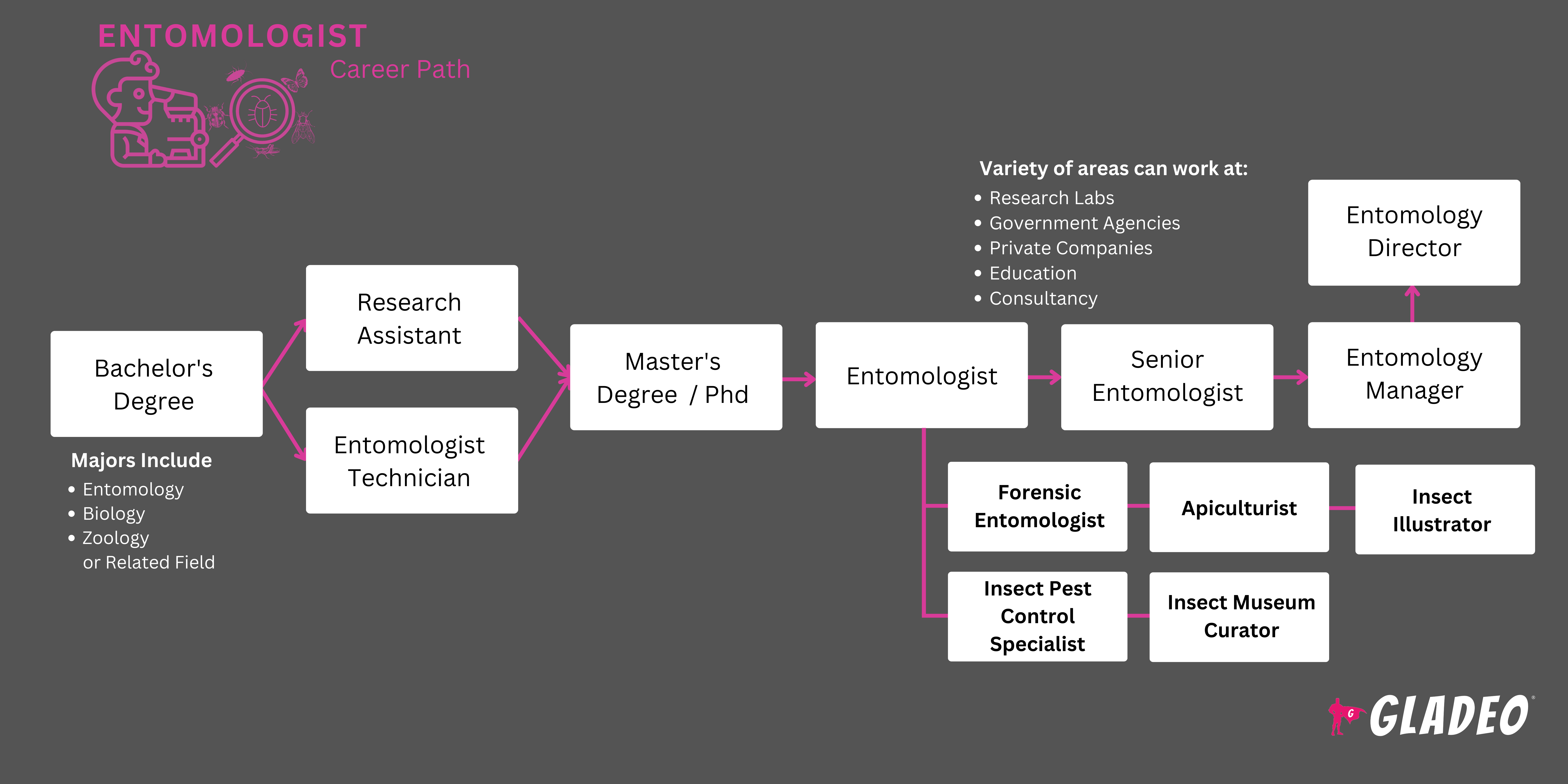 Entomologist Roadmap