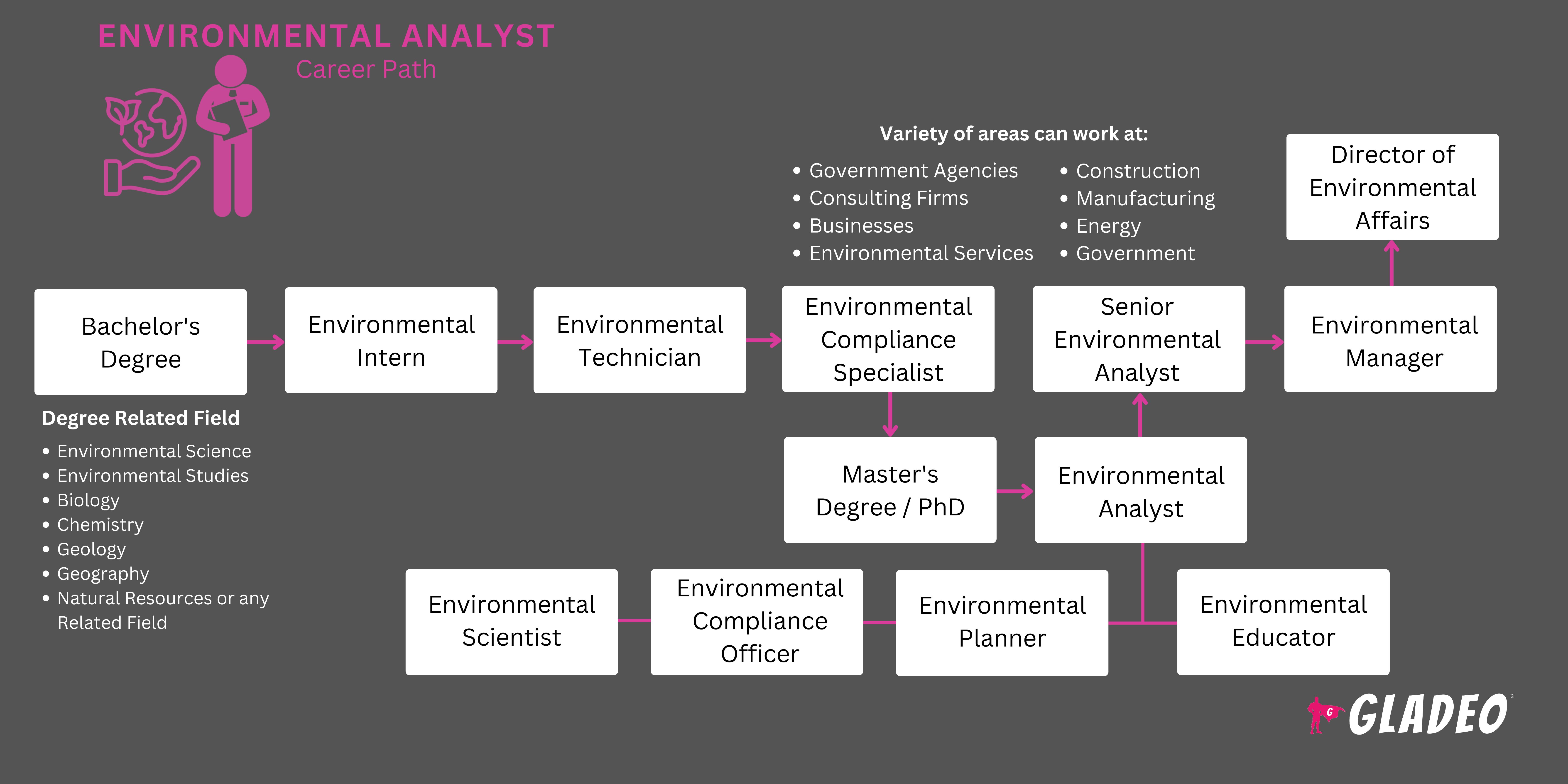 Environmental Analyst Roadmap