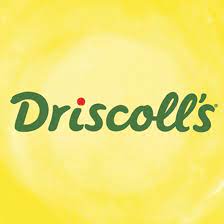Driscolls