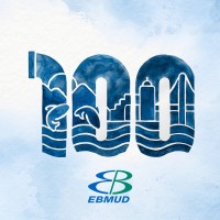 author logo