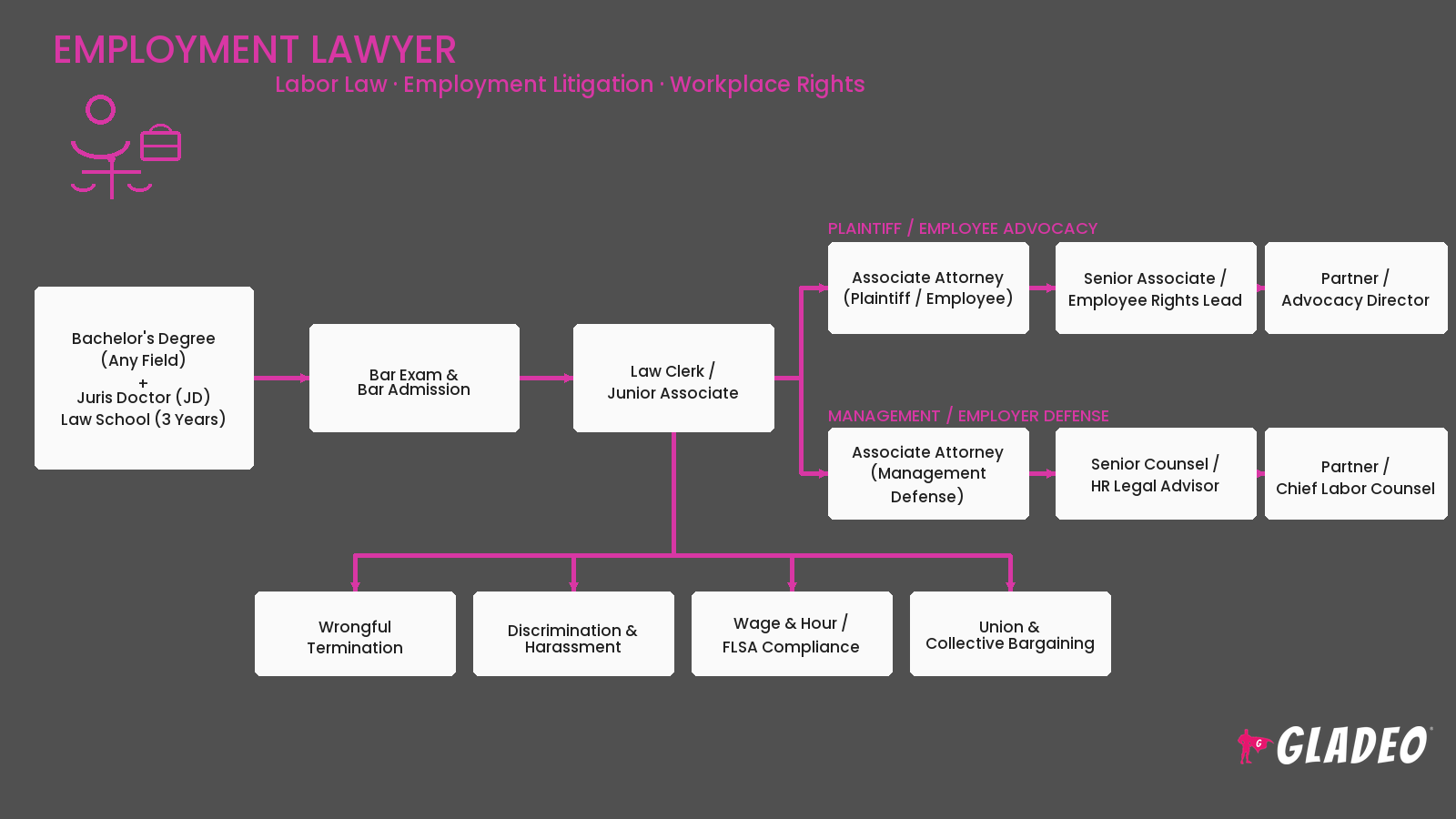 Employment Lawyer