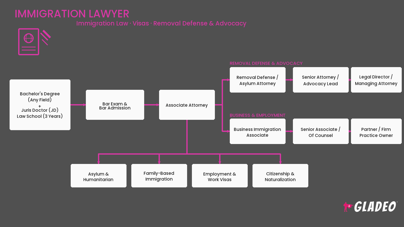 Immigration Lawyer